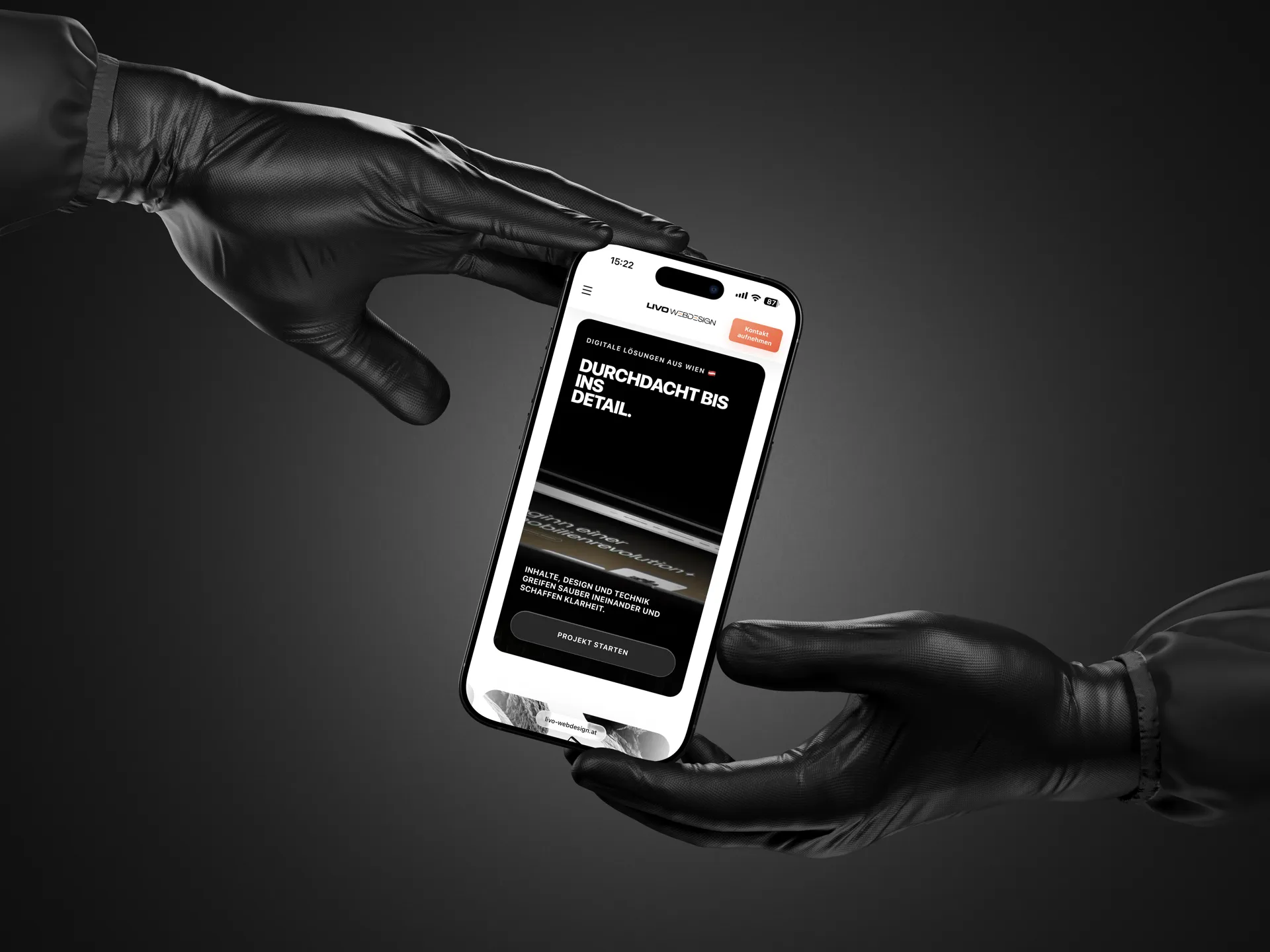 Livo WebDesign — image 2